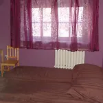 Hostel Pokoje Goscinne Victoria Krasków